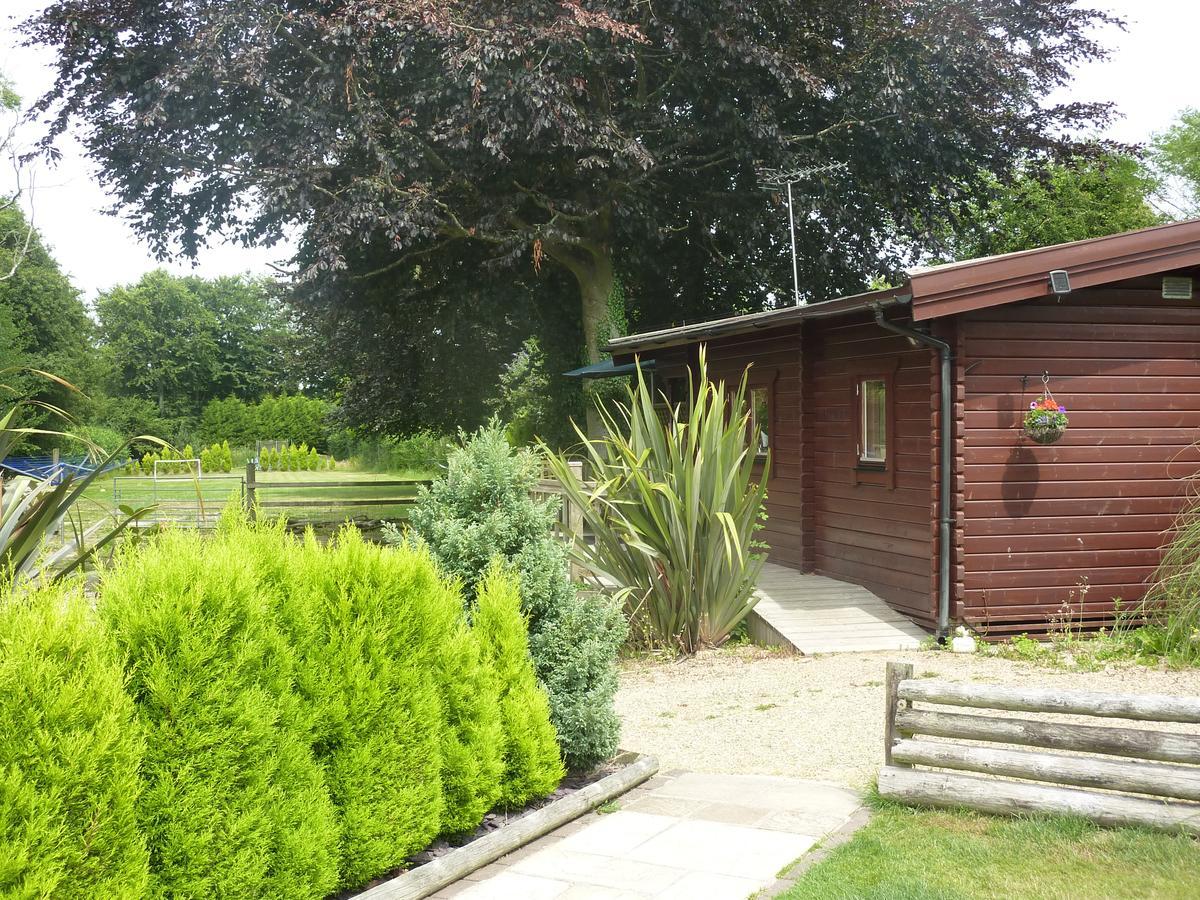 Cypress Log Cabins Accommodation Godshill  エクステリア 写真